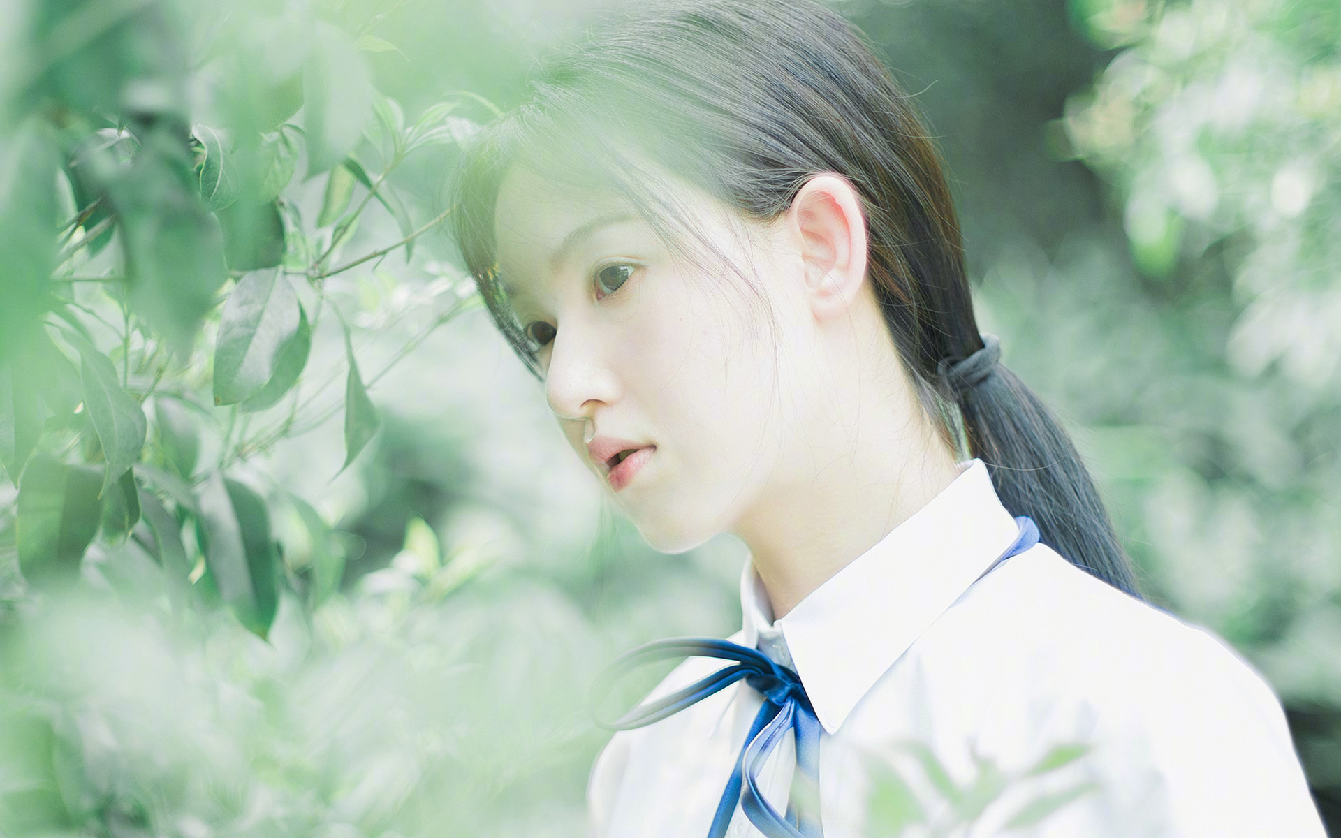 我为你构思了两个不同角度的标题，以及一篇完整的文章