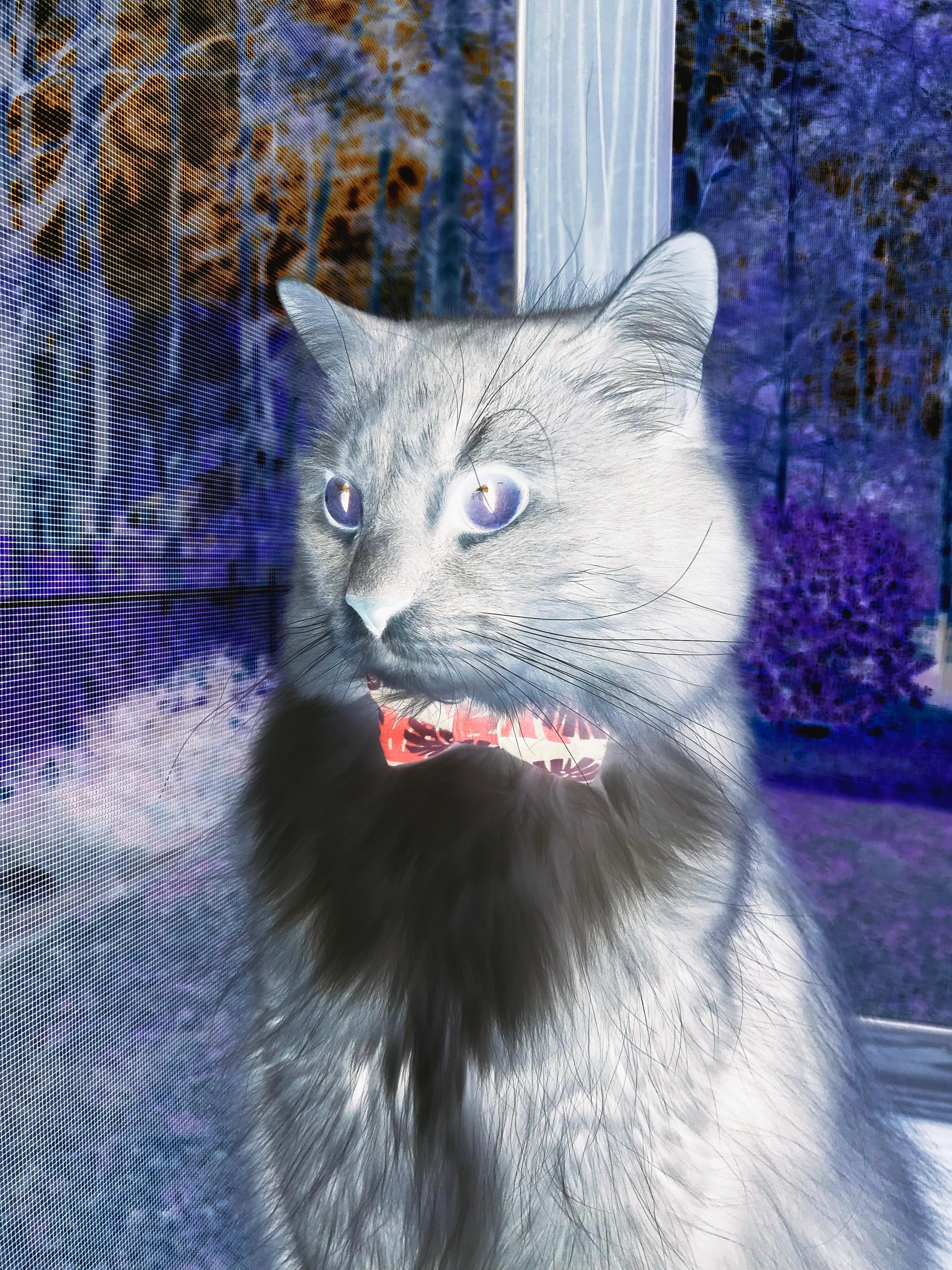 第三节王者！福克斯领军单节37分掀翻马刺，乔治高效20分彻底击溃防守