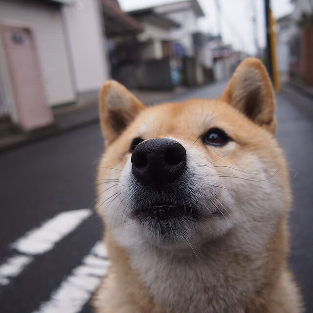 赛场的独舞与团队的独奏，论改写比赛走向的唯一性时刻