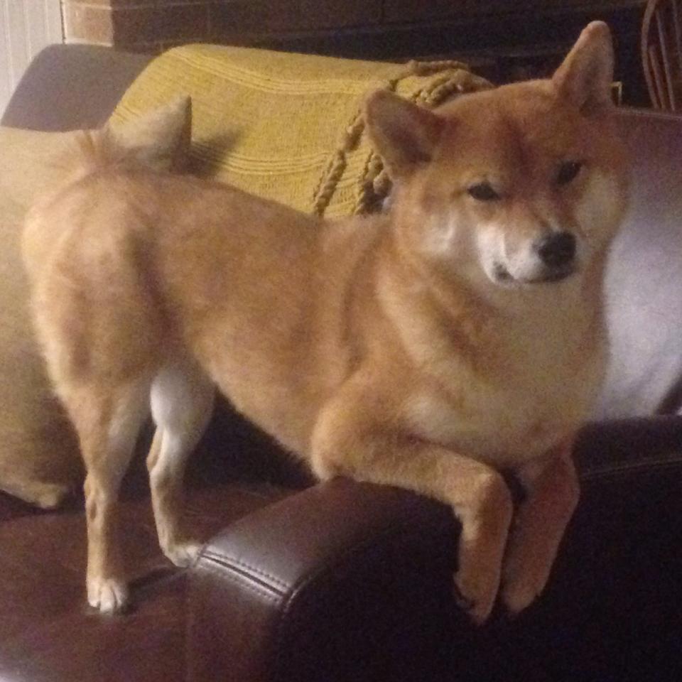 末节之王！拉梅洛独揽19分导演逆转，广东男篮跨联盟碾压马刺