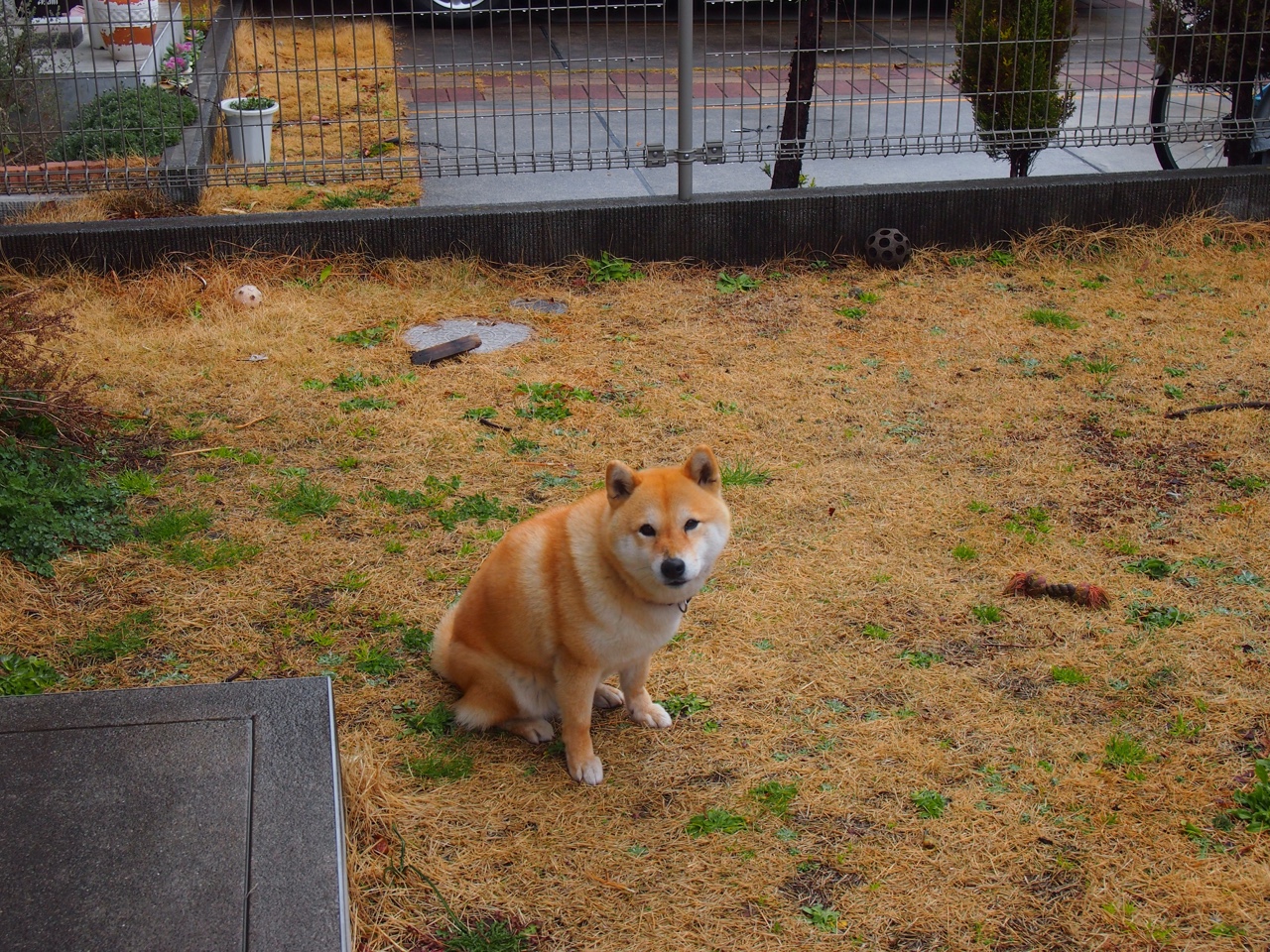 2025世俱杯决赛，楚阿梅尼惊天远射，皇马在亚特兰大加冕新王