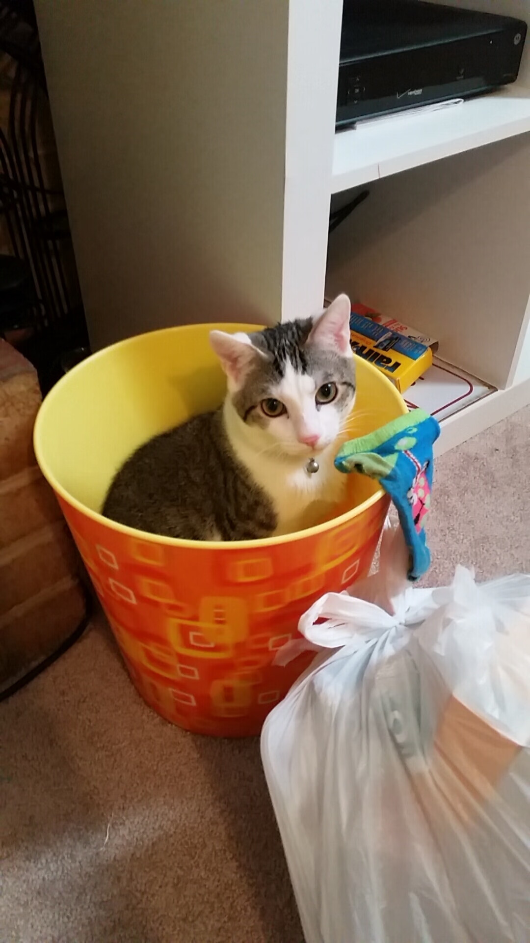 切特·霍姆格伦，当独角兽闯进糖果山