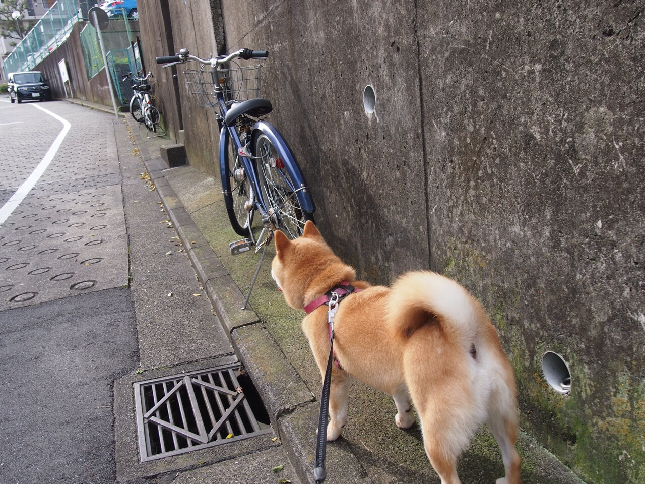 爱游戏APP-罗德里，马赛翻盘毕尔巴鄂的关键先生