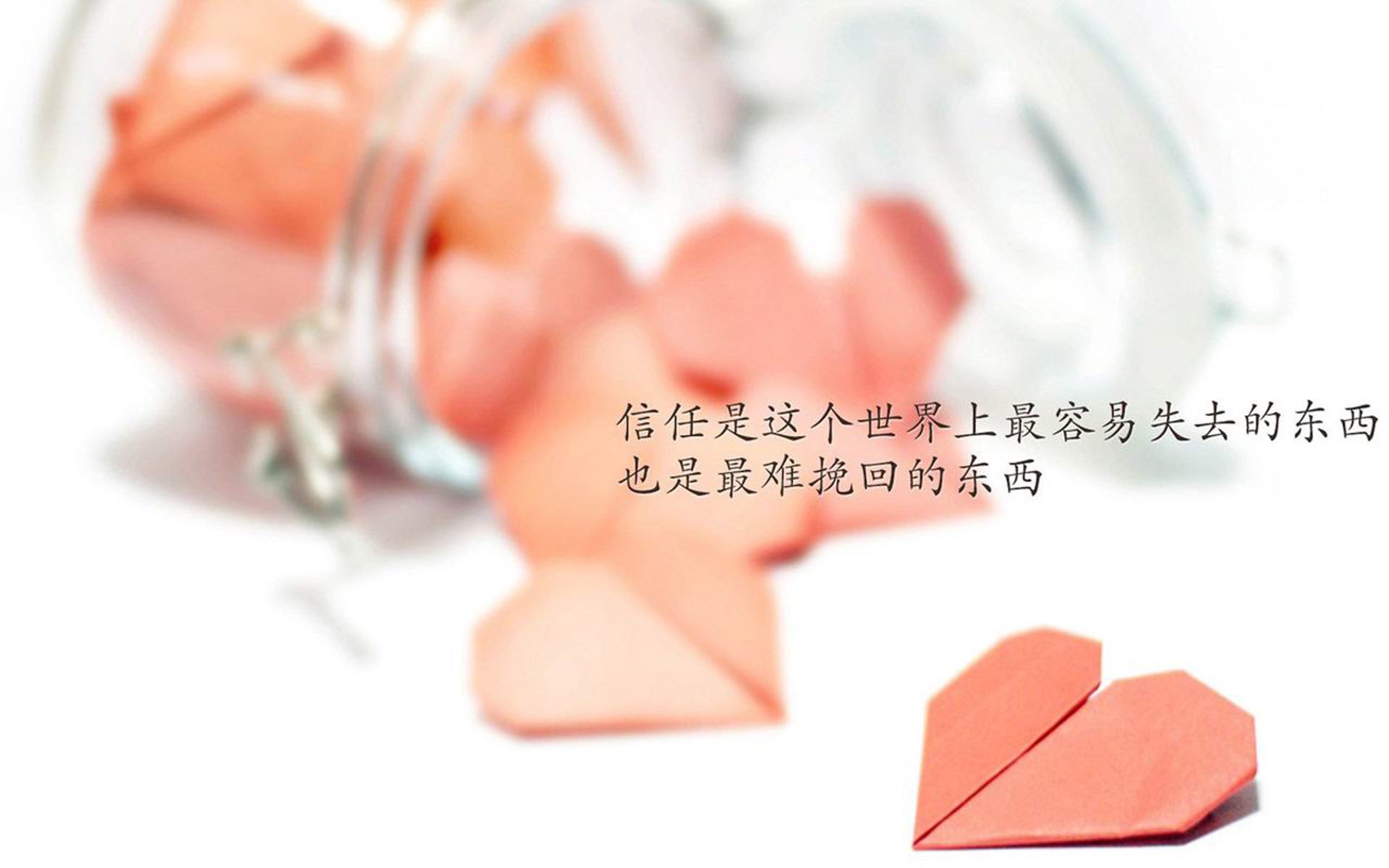 孤注一掷的锐利,2026世界杯B组,波兰如何用极致进攻碾压喀麦隆,萨内完成致命一击