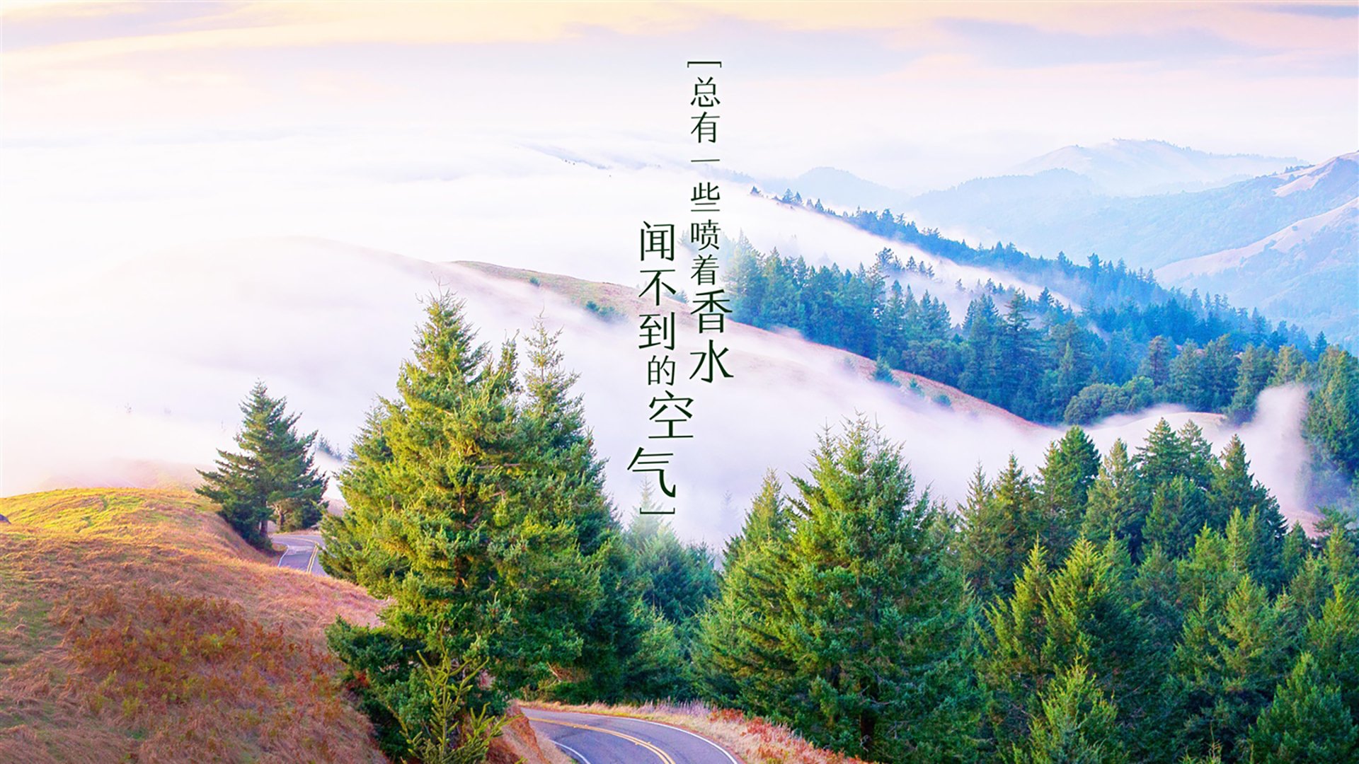 绝杀之夜,拉什福德主宰2026世界杯焦点战,西班牙力克卡塔尔书写唯一传奇