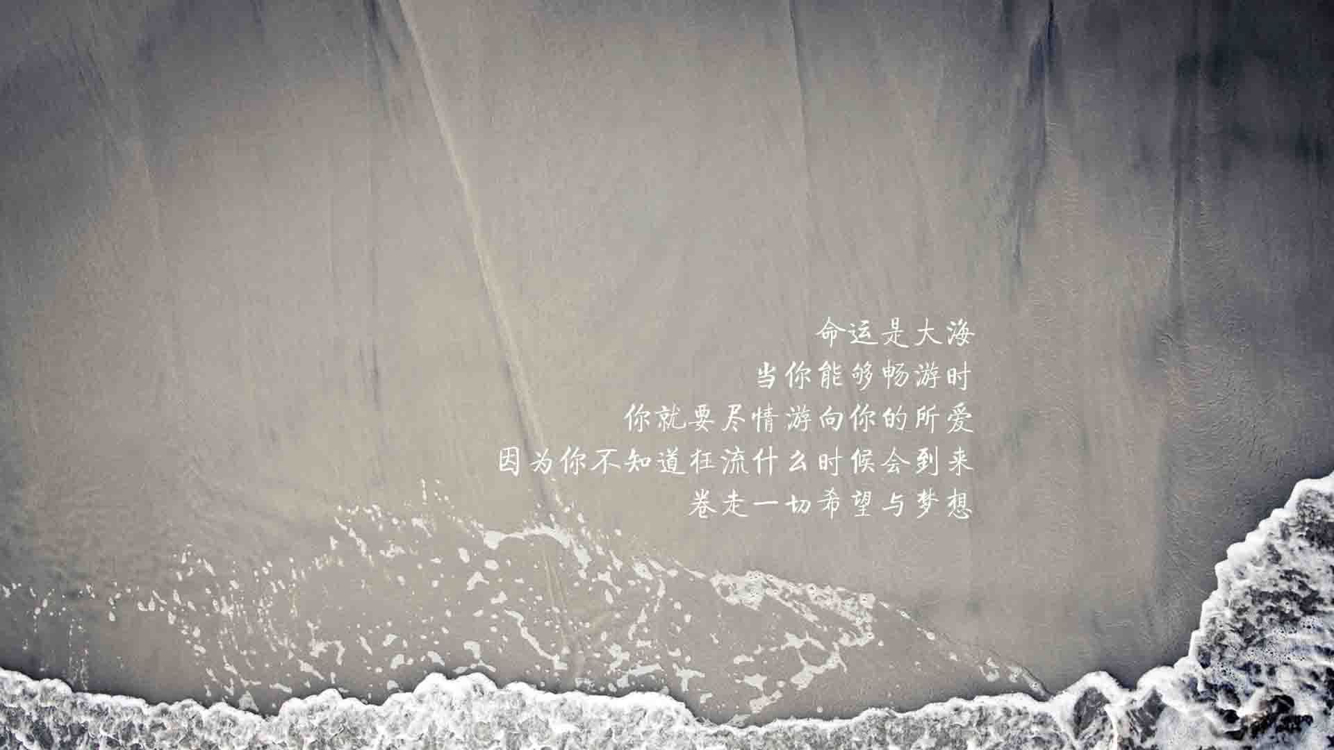 橙衣军团的暗礁,当独狼苏亚雷斯在D组生死战中撕碎荷兰的童话